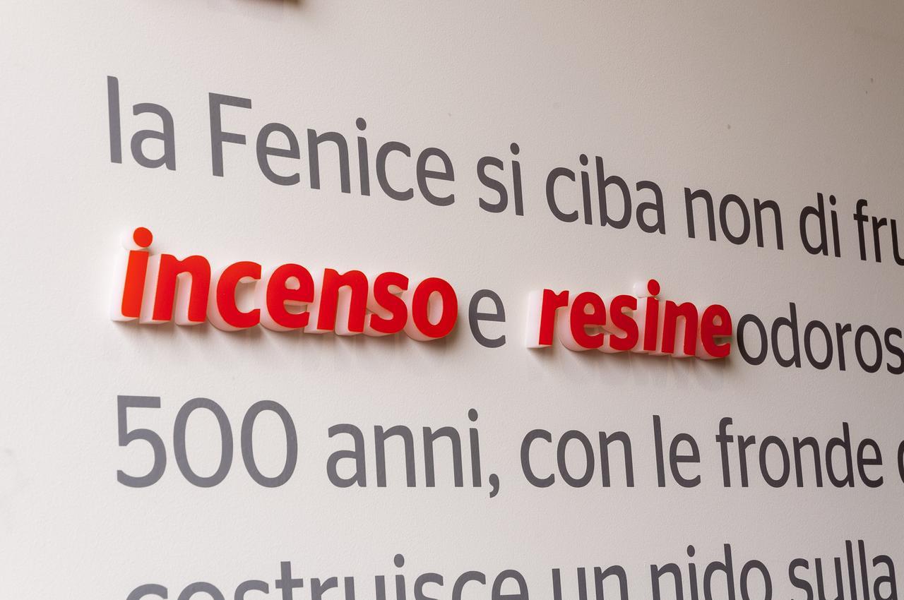 Villa Fenix Озио Сото Екстериор снимка